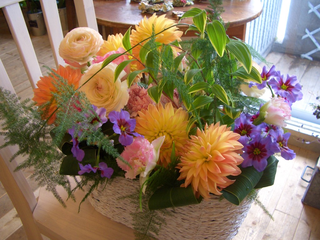 元気な色合いで