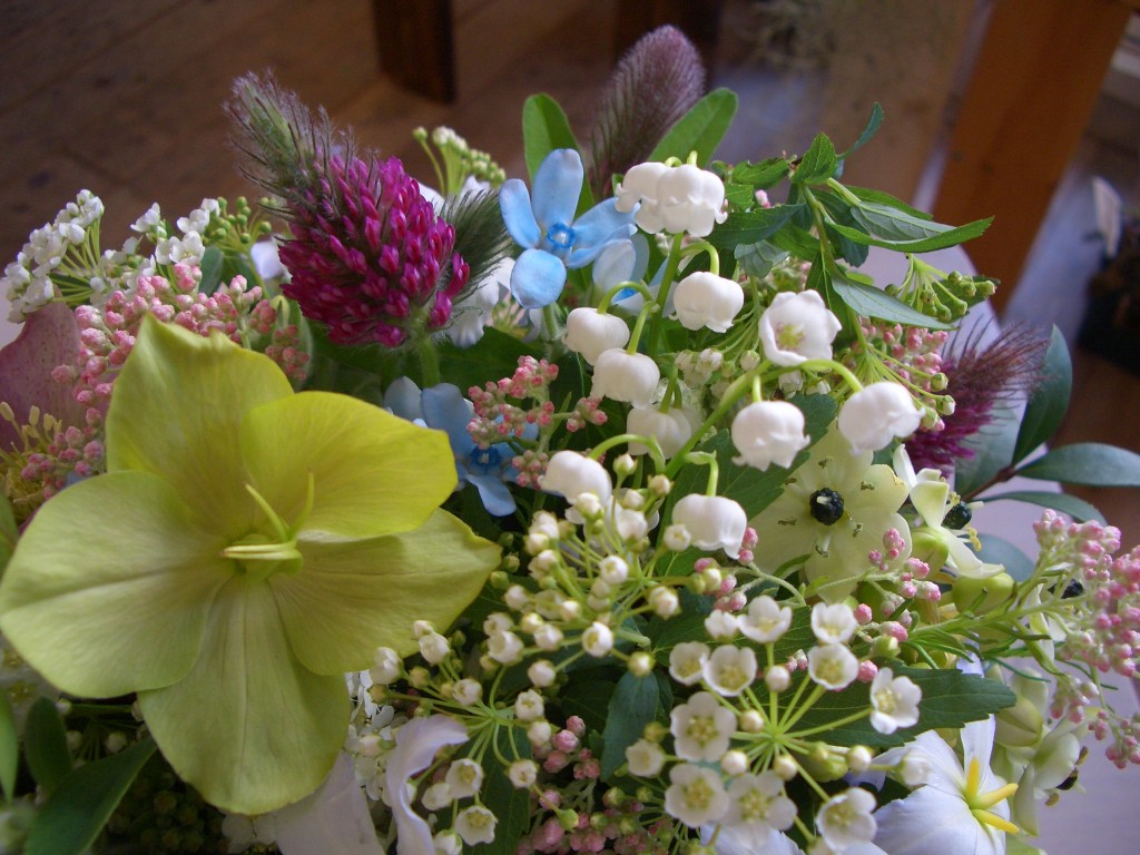 2014_0301_145101-CIMG3621