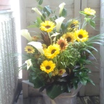 ⑫個展お祝いアレンジメント